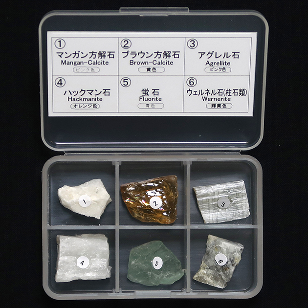 蛍光鉱物標本6種 長波｜化石販売・鉱物販売の東京サイエンス