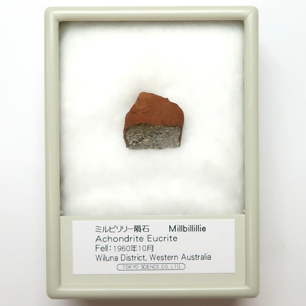 ミルビリリー隕石 標本 - その他