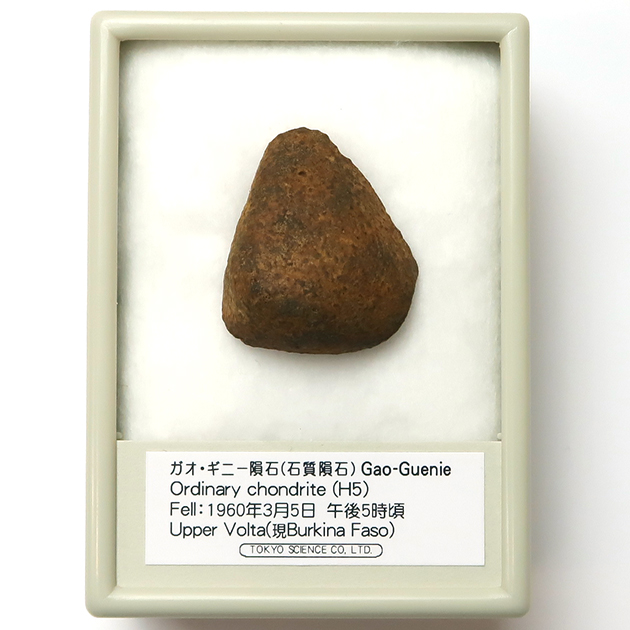 ガオ・ギニー隕石（Gao-Guenie）｜化石販売・鉱物販売の東京サイエンス