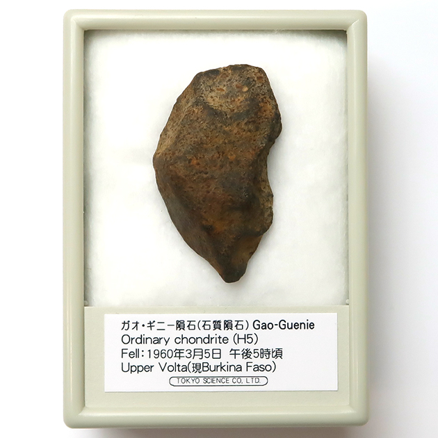石質隕石 ガオ GAO-