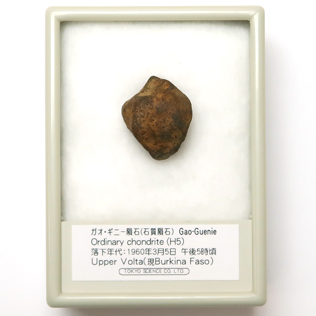 ガオ・ギニー隕石（Gao-Guenie）｜化石販売・鉱物販売の東京サイエンス