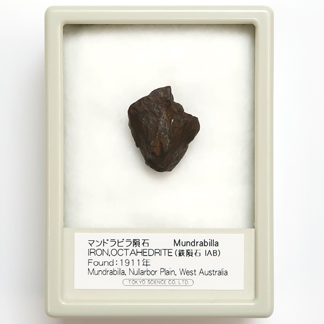 在庫あ特価【美品】マンドラビラ隕石 61g NO.392 コレクション