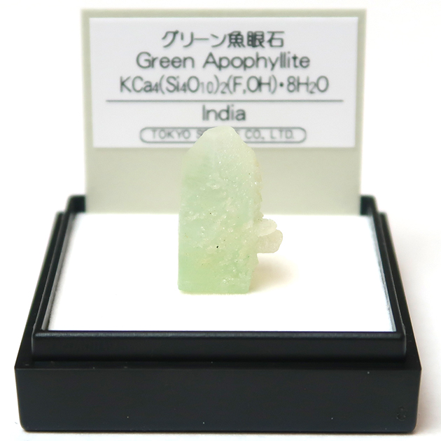 ミニ鉱物標本－2－｜ミニ鉱物標本シリーズ｜化石販売・鉱物販売の東京サイエンス